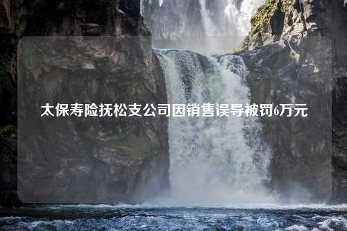 太保寿险抚松支公司因销售误导被罚6万元