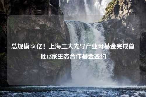 总规模250亿！上海三大先导产业母基金完成首批12家生态合作基金签约