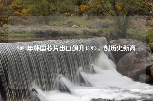 2024年韩国芯片出口飙升43.9%，创历史新高