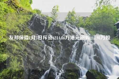 友邦保险1月3日斥资6214.86万港元回购111.98万股