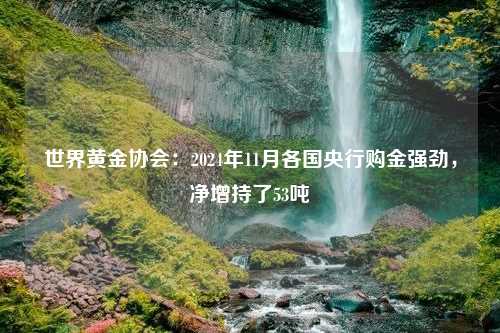 世界黄金协会：2024年11月各国央行购金强劲，净增持了53吨