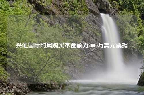 兴证国际附属购买本金额为2000万美元票据