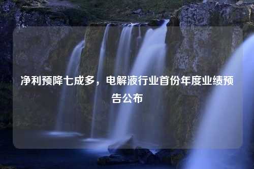 净利预降七成多，电解液行业首份年度业绩预告公布