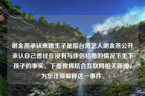 谢金燕承认未婚生子是指台湾艺人谢金燕公开承认自己曾经在没有与伴侣结婚的情况下生下孩子的事实。下面我将结合互联网相关新闻，为您详细解释这一事件。