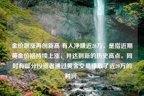 金价飙涨再创新高 有人净赚近20万，是指近期黄金价格持续上涨，并达到新的历史高点，同时有部分投资者通过黄金交易赚取了近20万的利润。