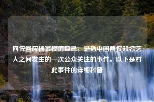 向佐回应杨幂模仿自己，是指中国两位知名艺人之间发生的一次公众关注的事件。以下是对此事件的详细科普