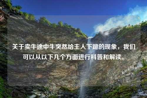 关于卖牛途中牛突然给主人下跪的现象，我们可以从以下几个方面进行科普和解读。