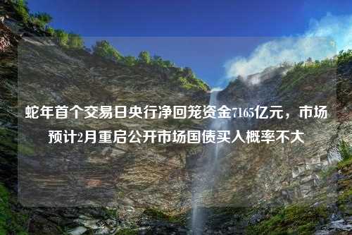 蛇年首个交易日央行净回笼资金7165亿元，市场预计2月重启公开市场国债买入概率不大