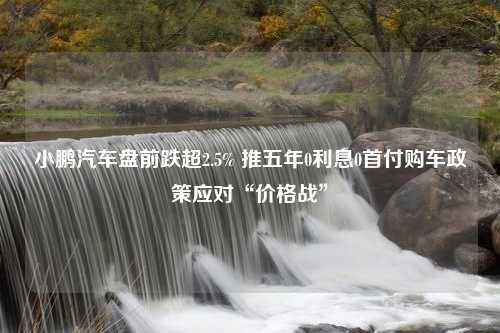 小鹏汽车盘前跌超2.5% 推五年0利息0首付购车政策应对“价格战”