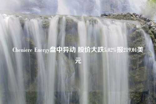 Cheniere Energy盘中异动 股价大跌5.02%报219.01美元