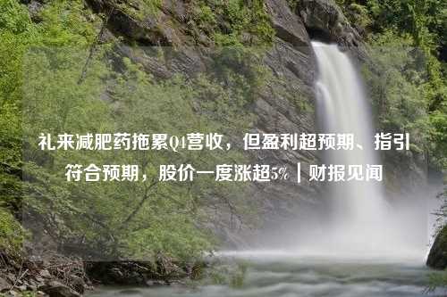 礼来减肥药拖累Q4营收，但盈利超预期、指引符合预期，股价一度涨超5%｜财报见闻