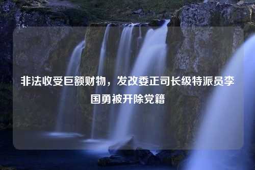 非法收受巨额财物，发改委正司长级特派员李国勇被开除党籍